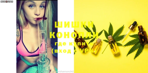 ECSTASY Волоколамск