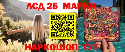 спиды Гатчина