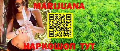 гидра Гагарин