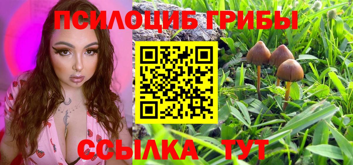 Галлюциногенные грибы Cubensis Воткинск