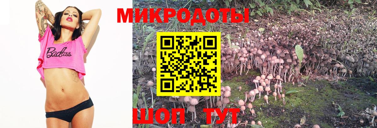 Галлюциногенные грибы Psilocybine cubensis Воткинск